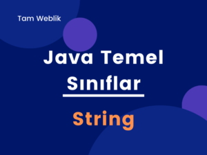 java_basic_classes_string_tamweblik