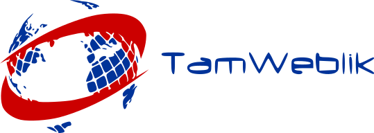 tamweblik-horizontal-logo